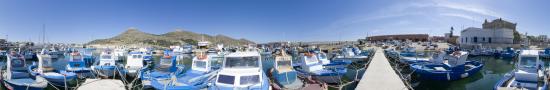 Port favignana fishing