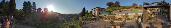 La roseraie de Monte Alle Croci à Florence