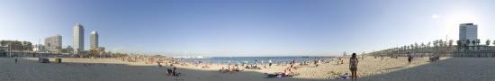 The great beach of Barcelon next Olympic harbour